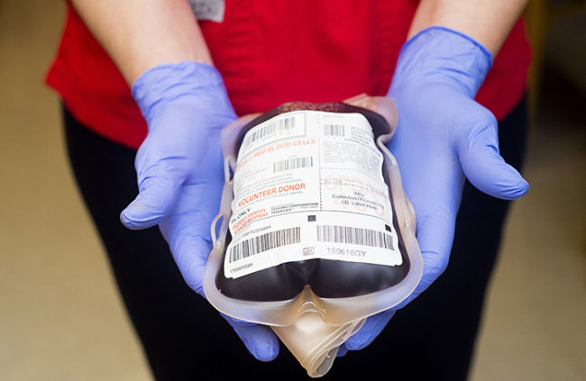 Operatrice con guanti blu che tiene una sacca di sangue etichettata 'Volunteer Donor' rivolta verso chi dona