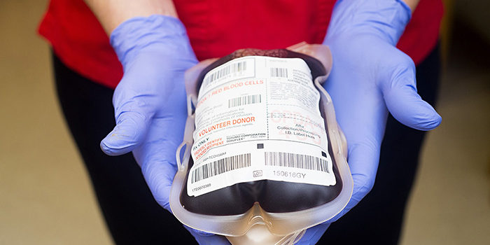 Operatrice con guanti blu che tiene una sacca di sangue etichettata ‘Volunteer Donor’ rivolta verso chi dona Operatrice con guanti blu che tiene una sacca di sangue etichettata 'Volunteer Donor' rivolta verso chi dona