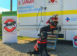 Cani della Scuola Italiana Cani Salvataggio posano sulle scale dell’autoemoteca regionale durante la raccolta sangue organizzata dall’Associazione Donatori di Sangue e Volontari Roma Est