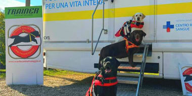 Cani della Scuola Italiana Cani Salvataggio posano sulle scale dell’autoemoteca regionale durante la raccolta sangue organizzata dall’Associazione Donatori di Sangue e Volontari Roma Est