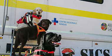 Cani addestrati al salvataggio con pettorina rossa posano sulle scale dell’Unità Mobile di Raccolta Sangue, accanto allo striscione SICS – Scuola Italiana Cani Salvataggio